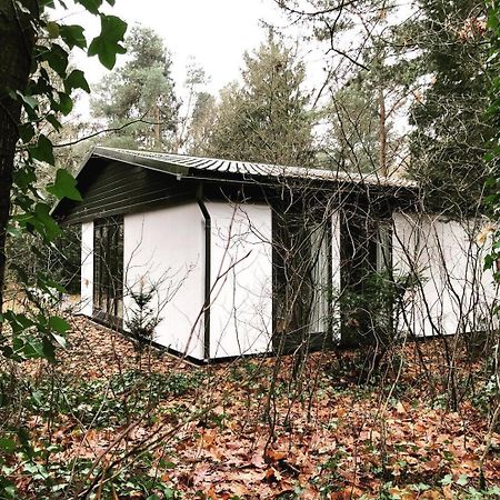 Www Huis Op De Veluwe Nl Nunspeet Eksteriør billede