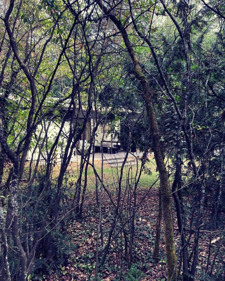 Www Huis Op De Veluwe Nl Nunspeet Eksteriør billede